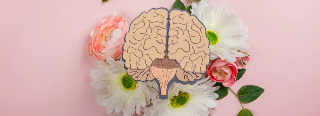 Imagem conceitual de um cérebro de madeira cercado por flores, refletindo o cuidado com a saúde mental e a importância do equilíbrio emocional no início do ano, conforme abordado pela psicóloga Elaine Lacerda.